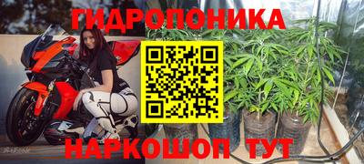 PSILOCYBIN Будённовск