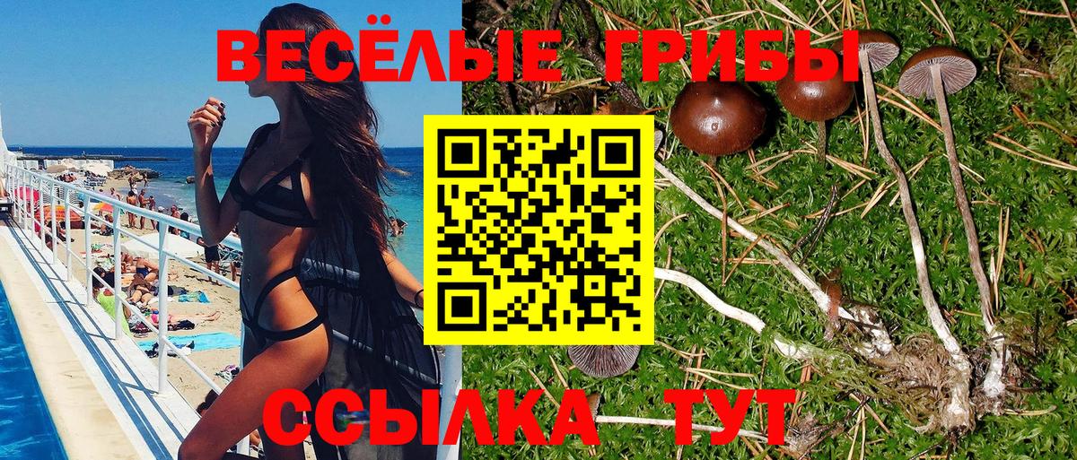 Псилоцибиновые грибы Magic Shrooms Химки